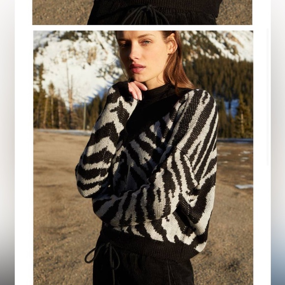 Kendal and Kylie Zebra Print Weekend knit V-Neck off shoulder sweater PacSun - Picture 1 of 4